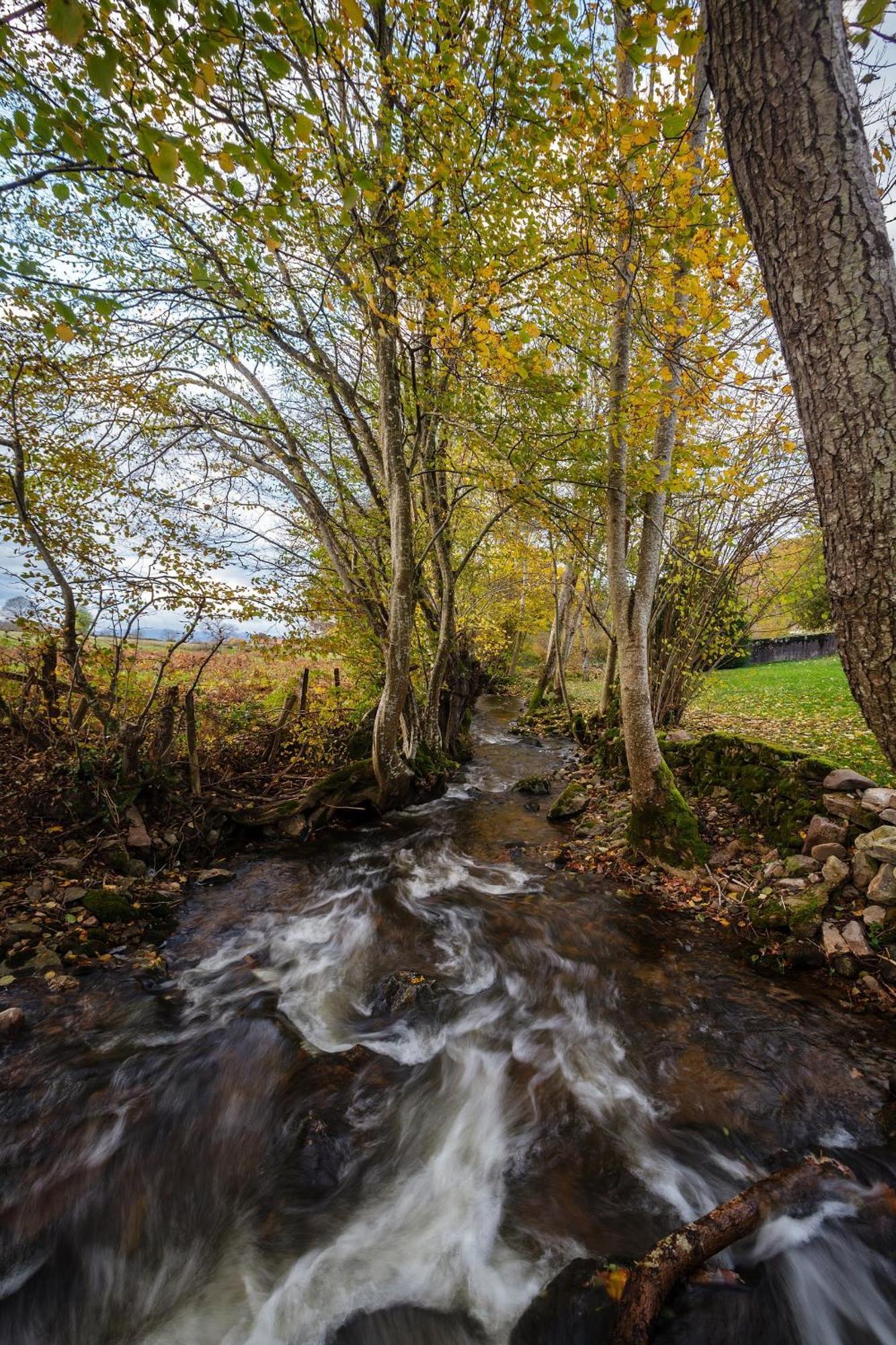 L'Annexe Du Moulin Renaudiots Lägenhet Autun Exteriör bild