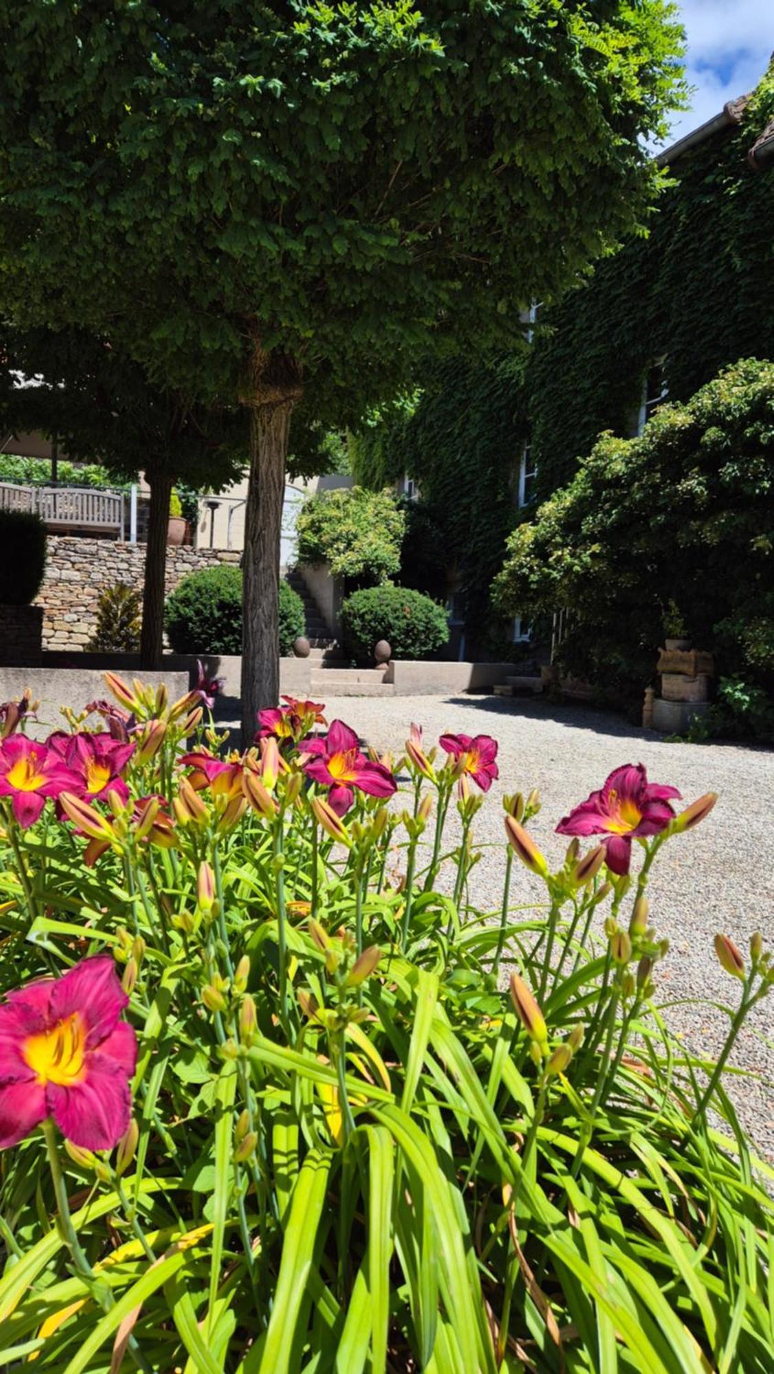 L'Annexe Du Moulin Renaudiots Lägenhet Autun Exteriör bild